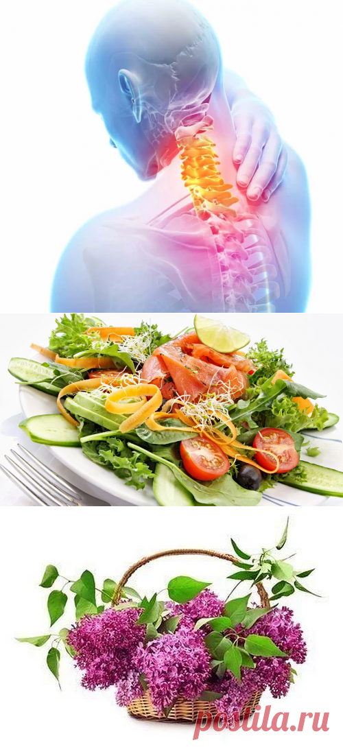 Будь Здоров! - Google+