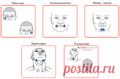 biomagnetismo puntos de rastreo - Buscar con Google