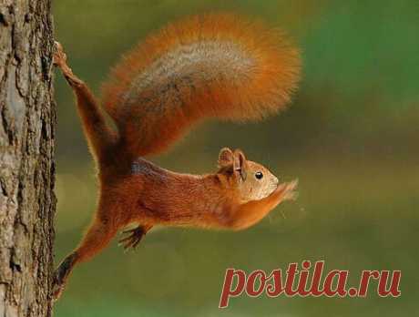 Мой Мир@Mail.Ru