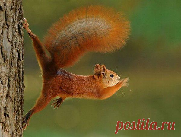 Мой Мир@Mail.Ru