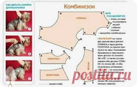 ​Комбинезон для собачки