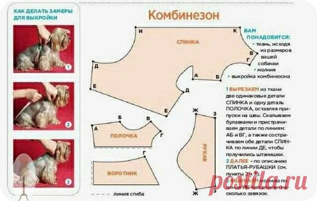 ​Комбинезон для собачки