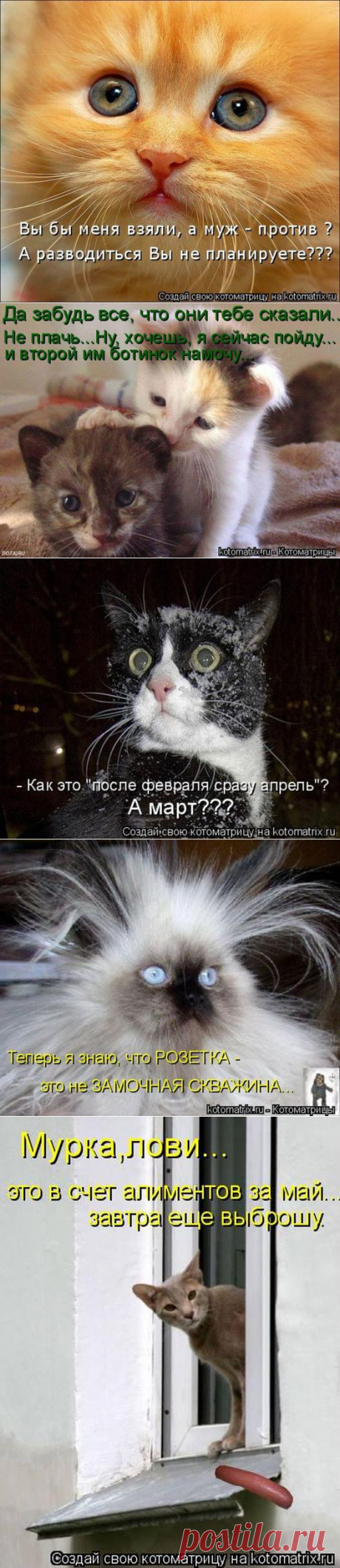 Мысли вслух