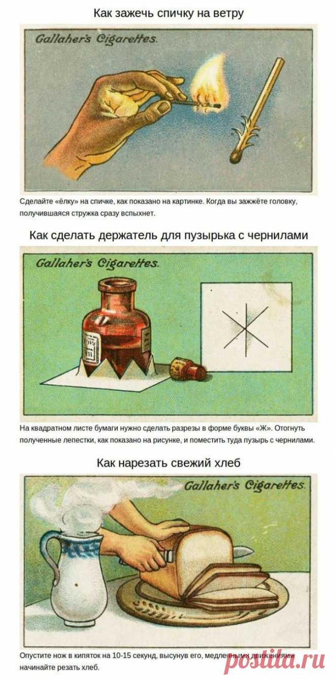 (+1) тема - Советы из прошлого | Полезные советы