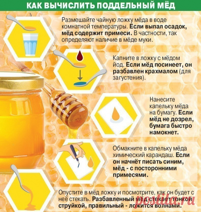 Как отличить настоящий мёд от подделки? 11 способов проверки