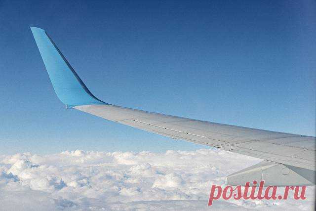 Суперспособности за которые вы должны быть благодарны — Гармония в тебе