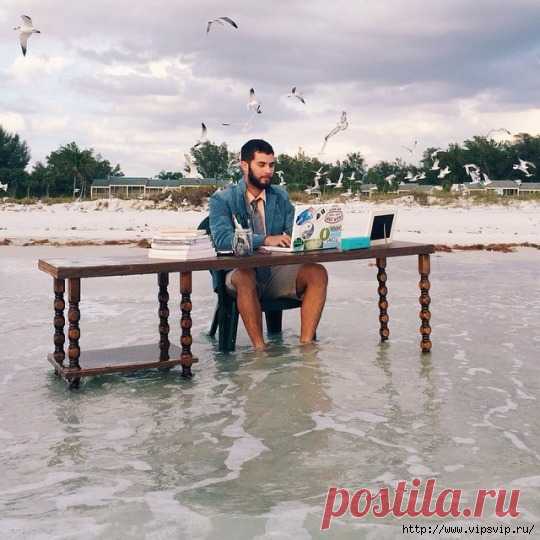 Лучшее из лучшего!