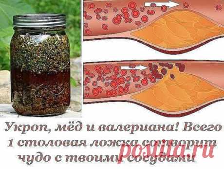 (1) Одноклассники