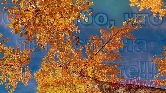 (60) Одноклассники