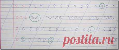 Как ошибки в тетради влияют на количество разводов |