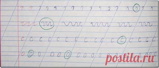 Как ошибки в тетради влияют на количество разводов |