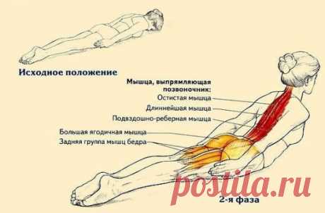 ВСЕГО ОДНО УПРАЖНЕНИЕ ДЛЯ КОРОЛЕВСКОЙ ОСАНКИ 
Сутулость – это не только эстетический недостаток. Пренебрегая упражнениями для осанки, мы наносим вред многим важным органам – сердцу, легким, желудку, поджелудочной железе, которые вынуждены функционировать в «сдавленном» положении. 
Таким образом, красивая осанка – это не только 
красота, но и здоровье. Во многом для красивой осанки помогает всего 
одно простое базовое упражнение, которое широко используется в медицине и спортивных тренировках: