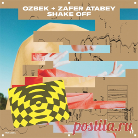 OZBEK, Zafer Atabey - Shake Off | 4DJsonline.com