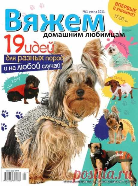 Вяжем для собак