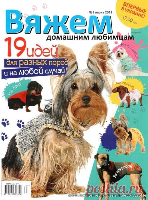 Вяжем для собак