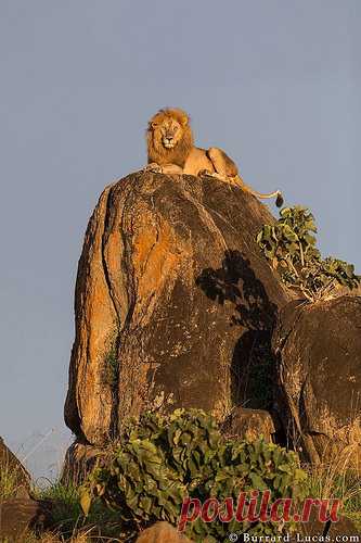 klekr - discover art photography