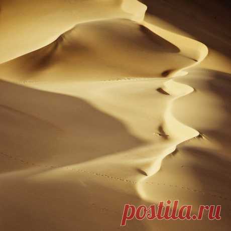 Shawn van Eeden Коллекция фото Dunescape пустыни Намиб / Удивительное искусство