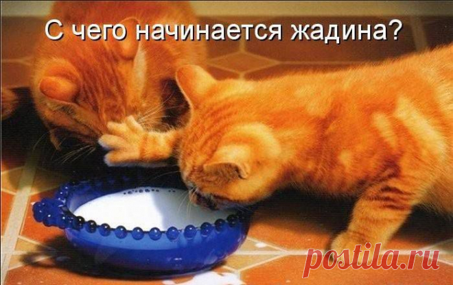 ► Полюс Притяжения-‘๑’-(16+) ⇓ ~⊰♥⊱~
