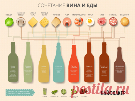 ИНФОГРАФИКА: Как подобрать вино к еде - Лайфхакер