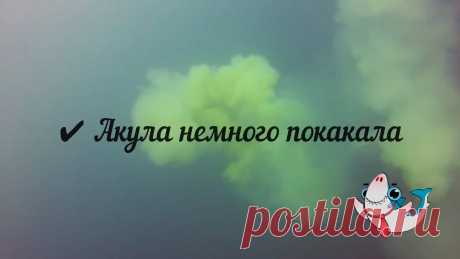✔ Акула немного покакала