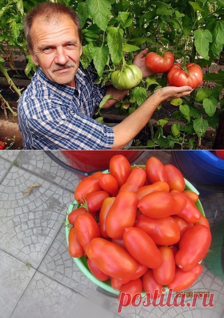 (95) Одноклассники