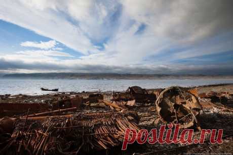 Северное своеобразие полуострова Рыбачий / Туристический спутник