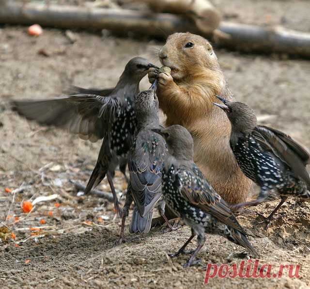 36 Excellent Examples Of Digital Wildlife Photography | Web & Graphic Design | Bashooka