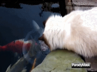 i-663.jpg (320×240)