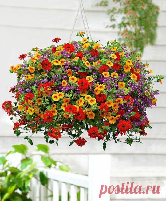 ....................