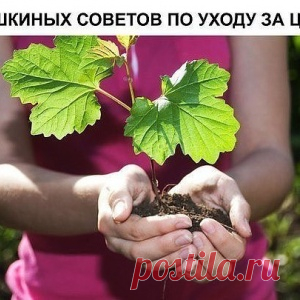 Новости - МирТесен