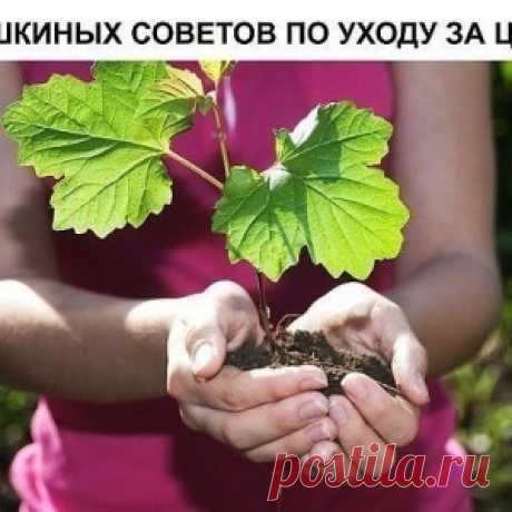 Новости - МирТесен