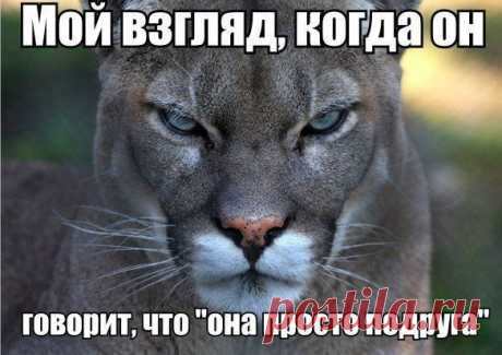 Мои закладки