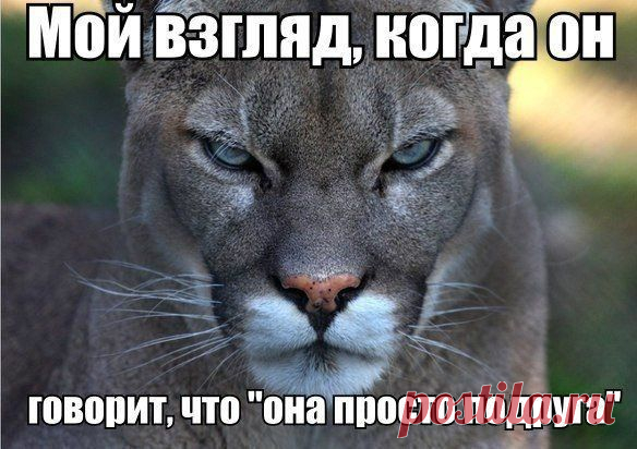 Мои закладки