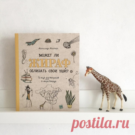 В книге «Может ли жираф облизать свои уши?» собрано более 300 познавательных и забавных фактов почти обо всем на свете: животных, растениях, истории, географии, анатомии, спорте, знаменитых людях... Публикуем 3 удивительных факта о еде: 🥐 В круассанах нет ничего французского Разве есть на свете что-то более французское, чем круассан? Само слово «круассан» — французское и означает «полумесяц». И всё-таки круассан придумал не француз, а австриец. Август Цанг приехал из Вены в Париж, открыл там…