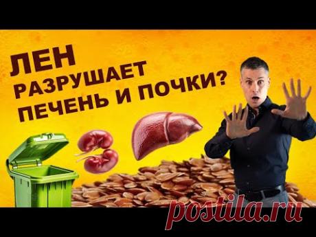 Как лен может навредить органам — и как превратить его в лекарство