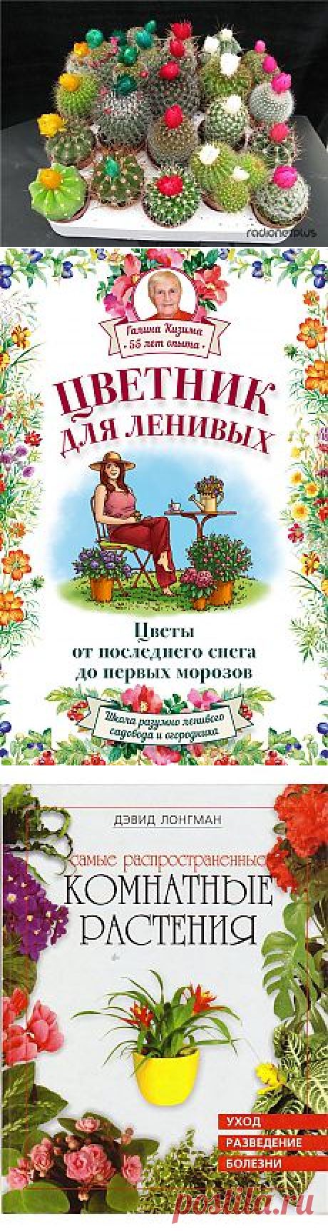 КОМНАТНЫЕ РАСТЕНИЯ | Фотографии и советы на Постиле