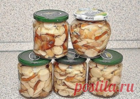 🍄10 ЗАГОТОВОК ИЗ ГРИБОВ НА ЗИМУ🍄
📌 Сохрани на стену чтобы не потерять.
1. 🍄Засолка грибов - холодный способ.
грибы (рыжики, черные и белые грузди, волнушки, сыроежки) - 1 кг
соль - 100 г
смородина - 10–12 листьев
вишня - 5–6 листиков
хрен - 2 листа
укроп - 2 зонтика
лавровый лист - 2–3 шт.
перец горошком - по вкусу
чеснок - по вкусу
Грузди, волнушки или сыроежки вымыть и залить холодной водой на 5–6 ч. (Рыжики не вымачивают, а только промывают). На дно деревянной или керамической посуды н