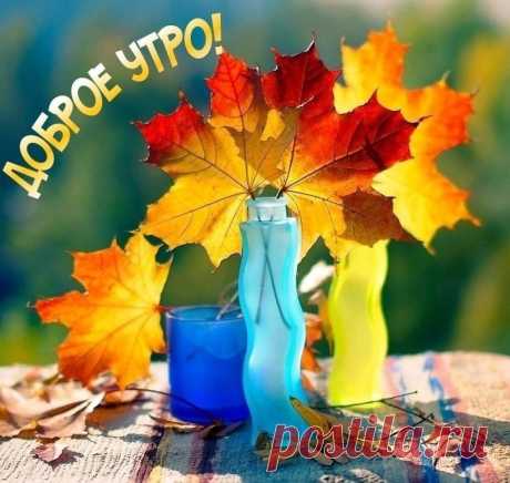РАДУГА КРАСОК