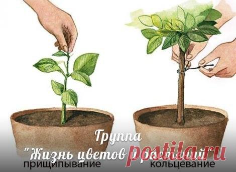 Мои закладки