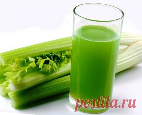 ОТ ЧЕГО ПОМОЖЕТ СЕЛЬДЕРЕЙ