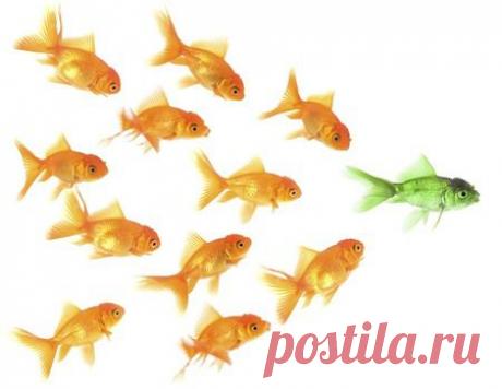 10. Изучите правила игры
Вы должны научиться и понять правила игры. И тогда вы сможете играть лучше, чем кто-либо другой. Здесь есть два момента. Во-первых, вы должны изучить правила. Как бы это не казалось скучным, но это необходимо. И второе, вооружившись полученными знаниями, вы должны действовать гораздо лучше других. И тогда успех будет за вами.