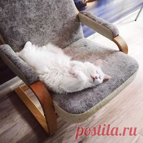 (977) Pinterest