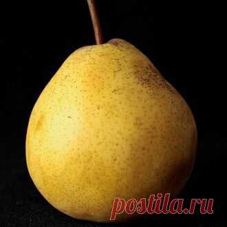 Как правильно сочетать продукты » MEDIKFORUM.RU