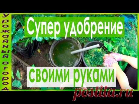 ►СУПЕР УДОБРЕНИЕ СВОИМИ РУКАМИ -ЗАМЕНА НАВОЗА!!! - YouTube