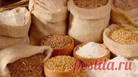 Комбикорм для кур несушек своими руками: рецепты и порядок приготовления!