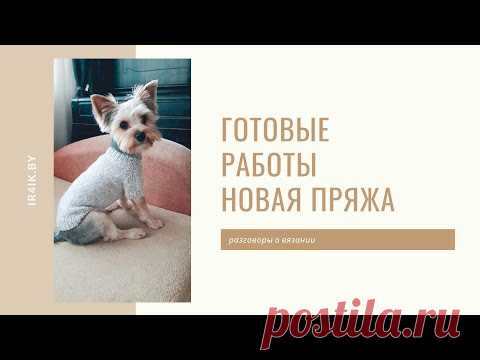 Готовые работы | Свитер для собаки | Новая пряжа