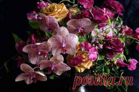flowers + photos by busy B