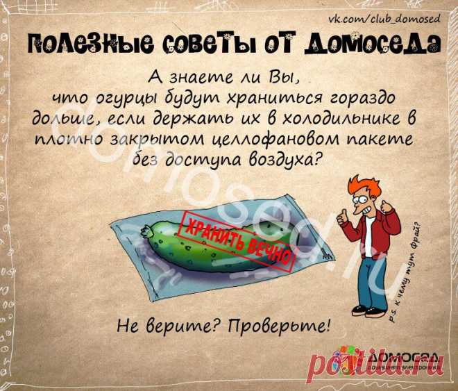 В хозяйстве пригодится | Семья и дом