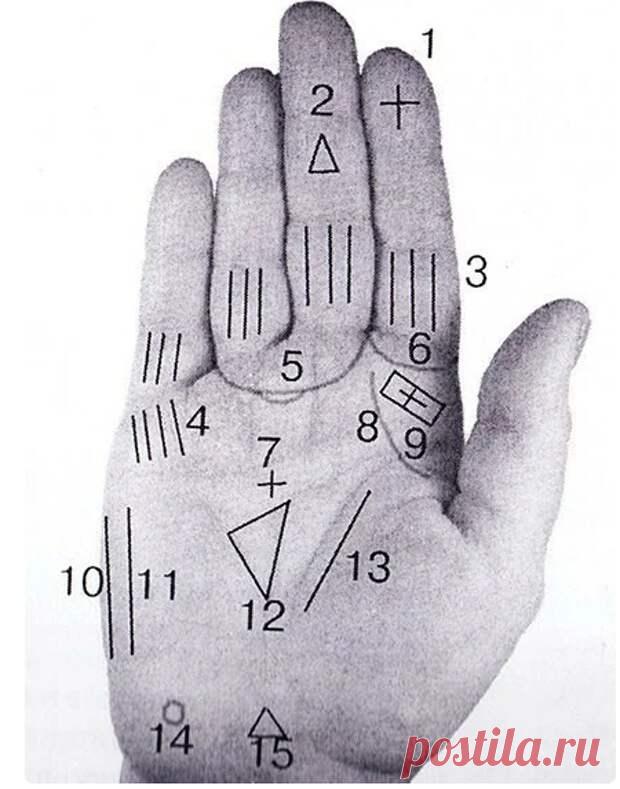 Что говорят о человеке магические знаки на ладони - Сонники, гороскопы, гадания - медиаплатформа МирТесен У каждого человека линии на ладони разные и индивидуальные. У настоящих магов, гадалок и экстрасенсов судьбоносные линии на руке отличаются от ладони обычного человека. Чтобы узнать, каким даром обладаете вы, нужно внимательно изучить рисунки на руке, а значение можно прочитать ниже. Значение