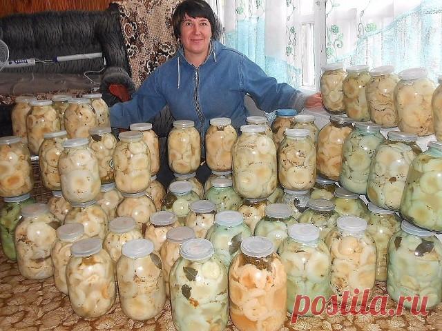 Соление грудей!